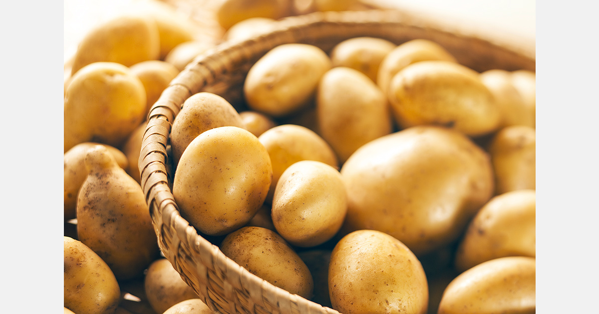 Lesotho considers lifting potato and cabbage import ban